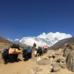 Trekking In Nepal